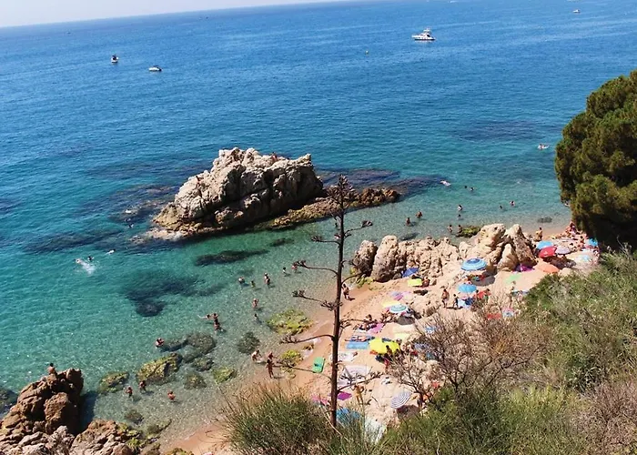 Terraza Al Mar Pineda de Mar