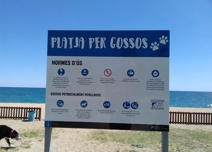 Apartament Terraza Al Mar *