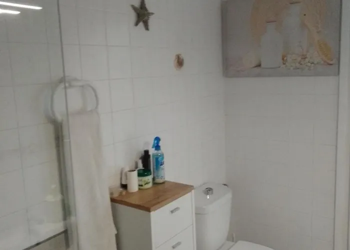 Apartament Terraza Al Mar Pineda de Mar